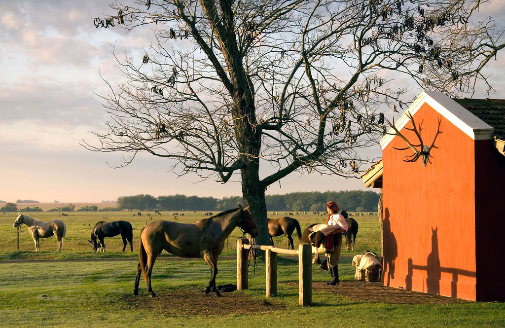 La Bamba de Areco