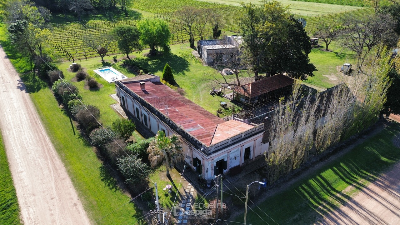 Bodega Cordano