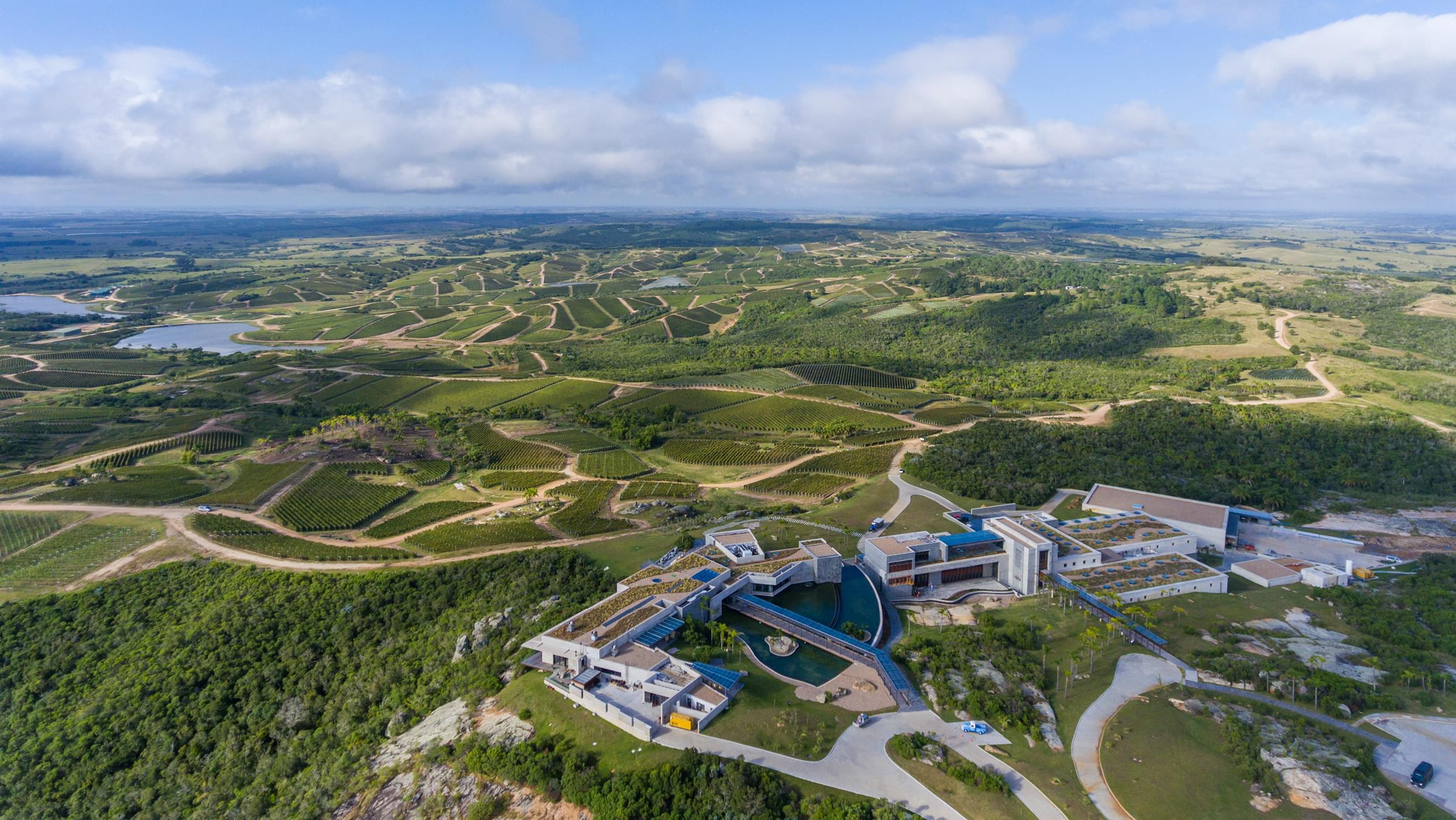 Bodega Garzón