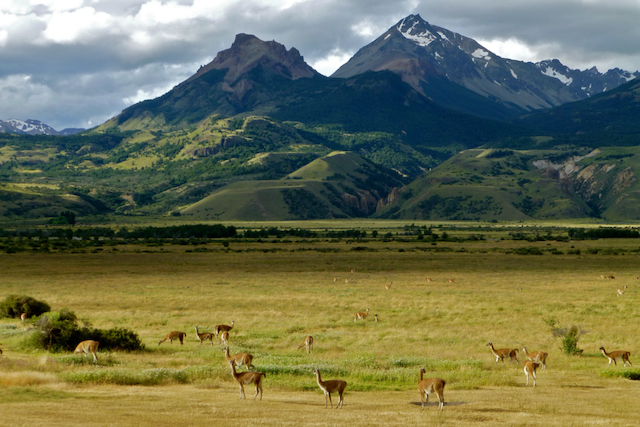 6. Patagonia National Park