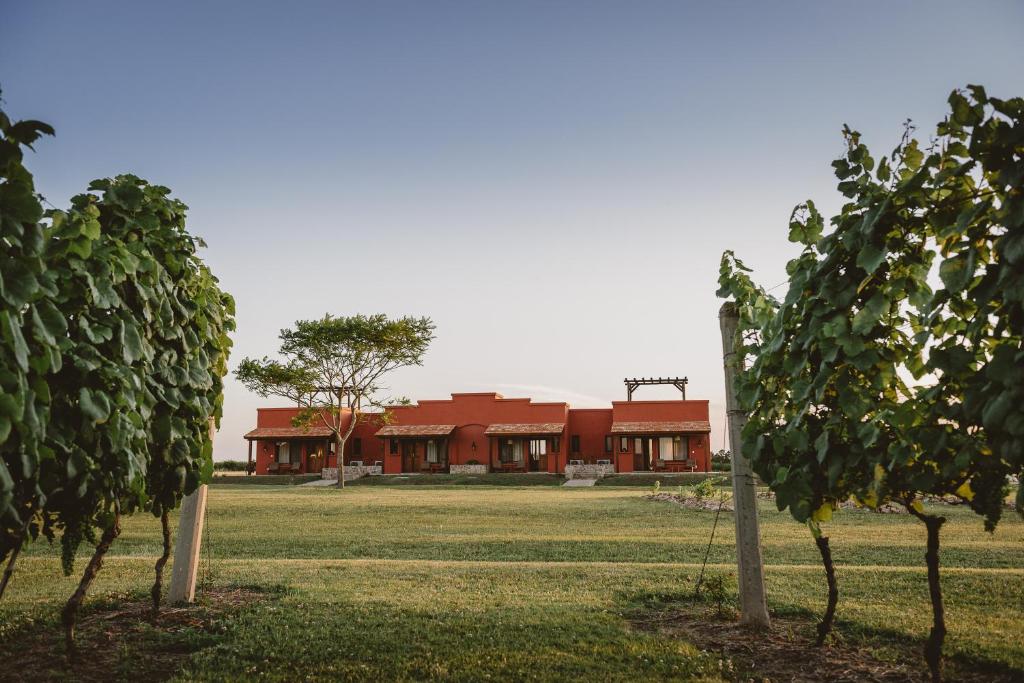 Bodega Legado