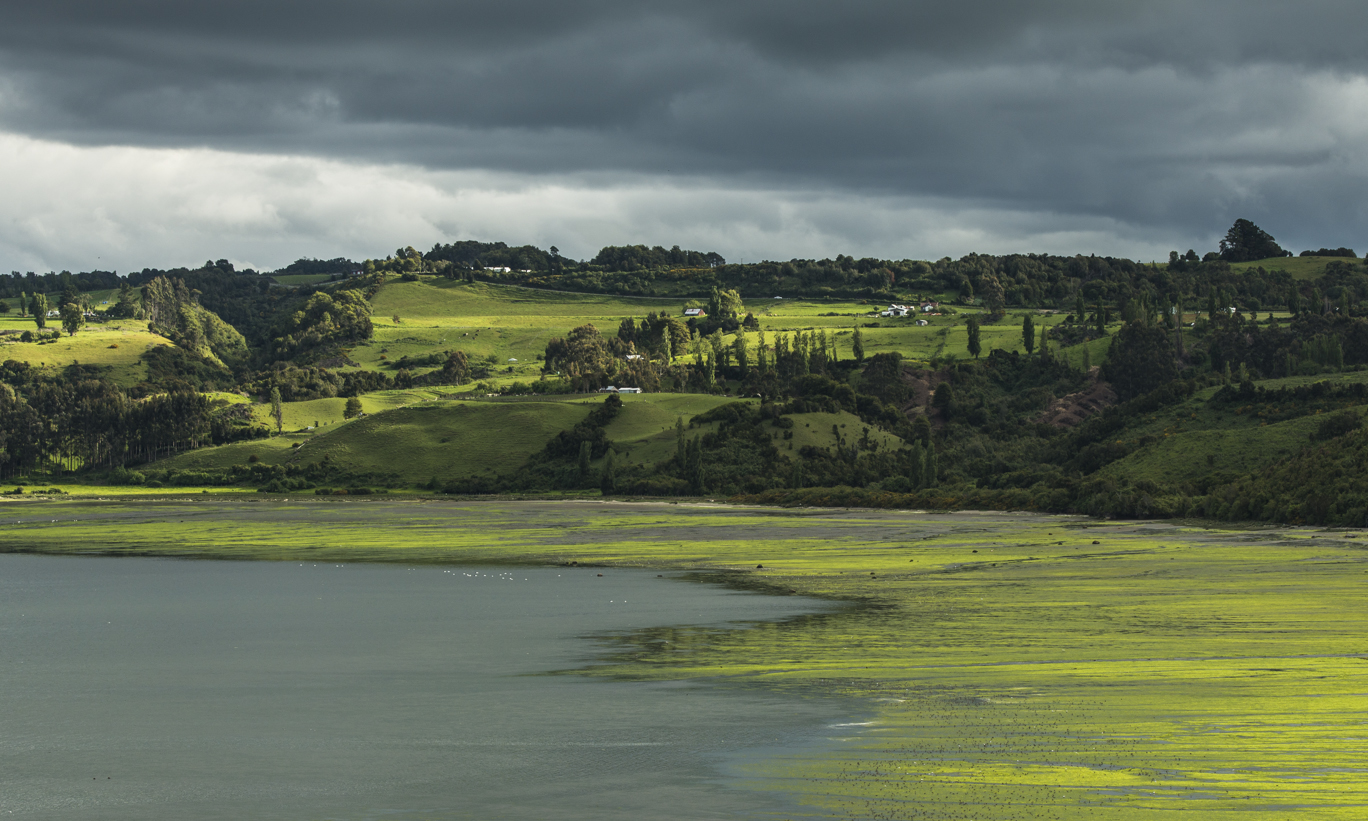 Chiloe