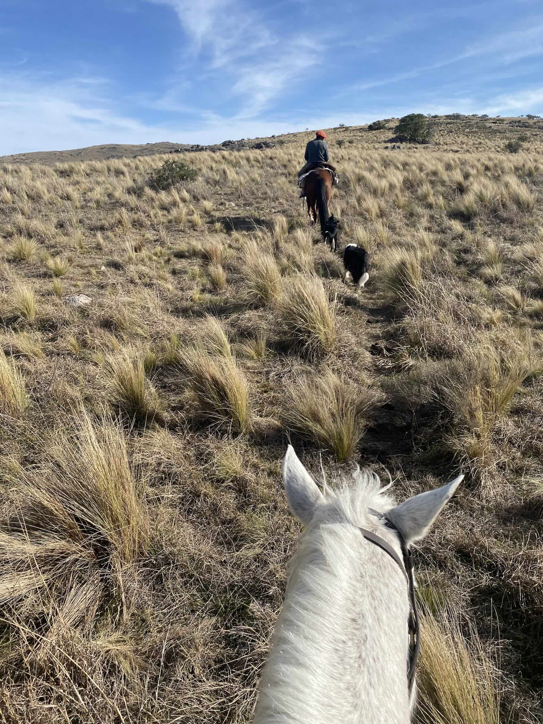 The Argentine Pampas -  Cordoba