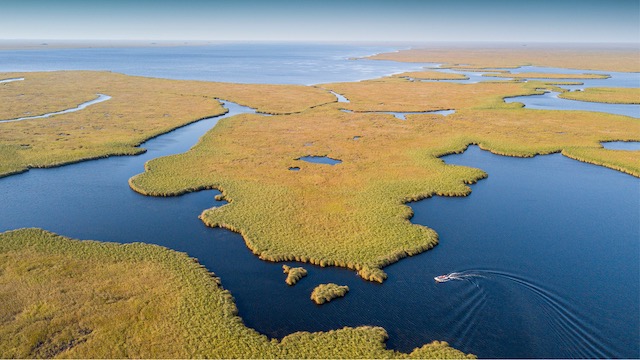 8. Iberá Wetlands, Argentina
