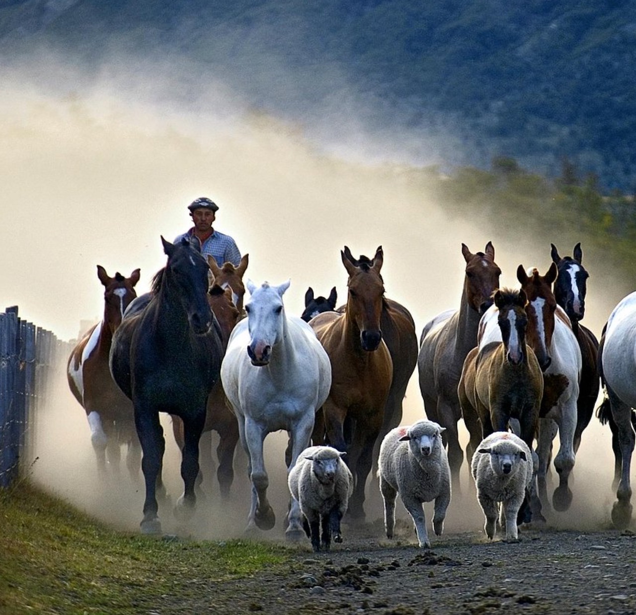 Estancia Nibepo Aike