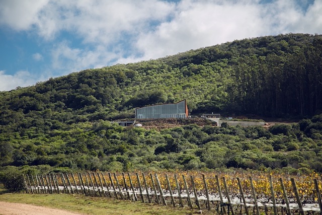 Viña Eden